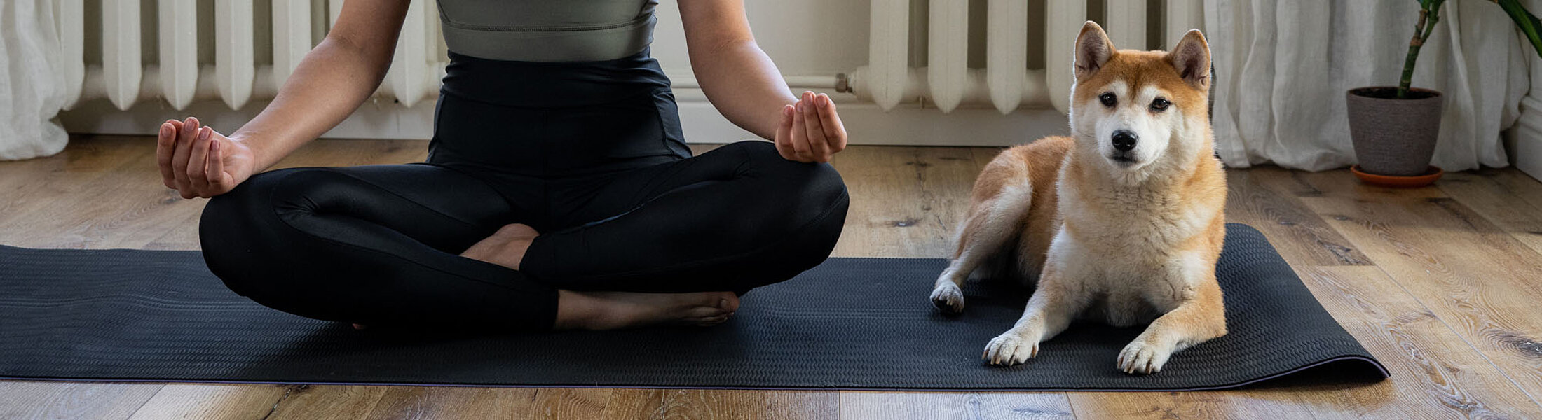 Yoga im Homeoffice