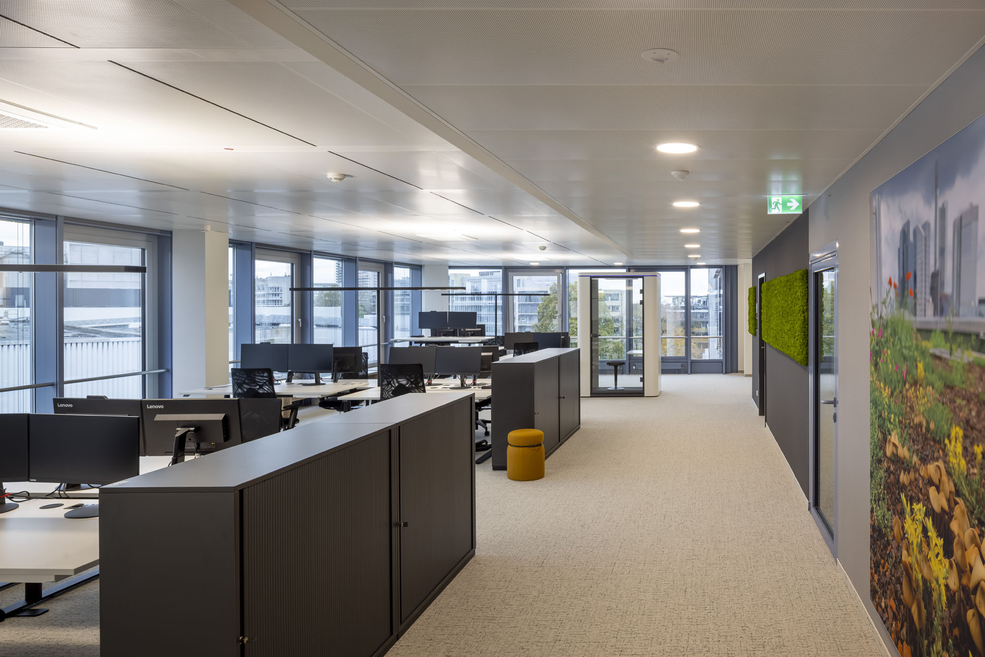 Corpus Sireo Bos Buero